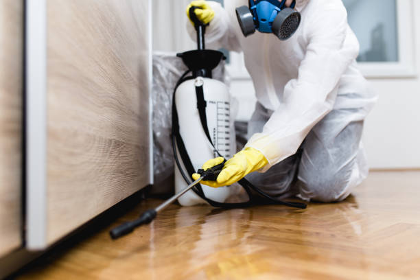Best Commercial Pest Control Services  in Rodney Village, DE