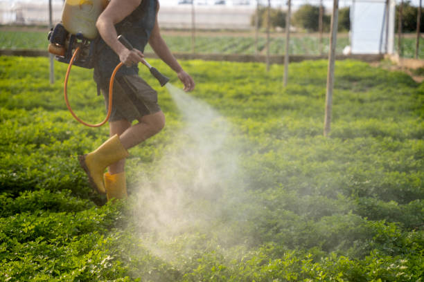 Best Best Pest Control Companies  in Rodney Village, DE