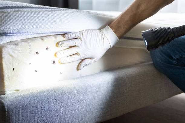 Best Best Pest Control Companies  in Rodney Village, DE
